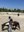 IMG_4947.jpeg