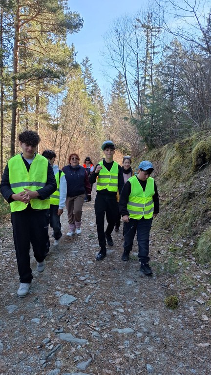 3d7f8a96-0de0-4a3a-832c-3ae177378c74.jpg 3d7f8a96-0de0-4a3a-832c-3ae177378c74.jpg