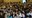 32.webp