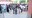 55.webp