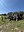 IMG_0248.jpeg