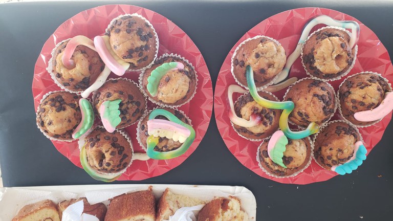 db145493-e5bd-4e3a-9ec0-a4fbaa2a12f3.jpg db145493-e5bd-4e3a-9ec0-a4fbaa2a12f3.jpg