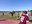 100_0551.JPG