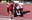 card.webp