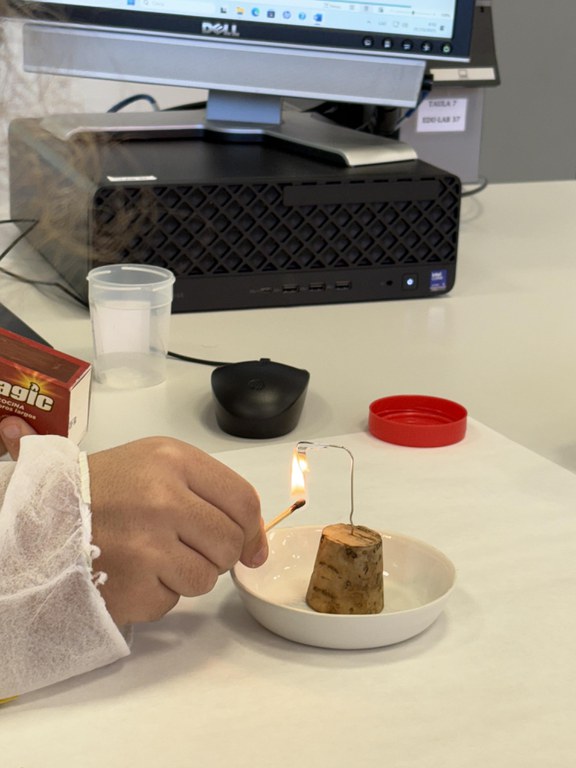 IMG_2065.jpeg IMG_2065.jpeg