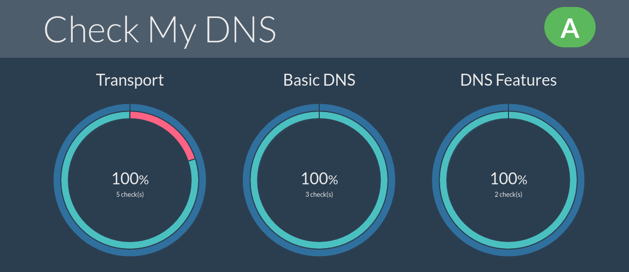 Check-My-DNS.png