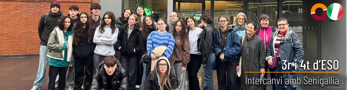 senigallia26.webp