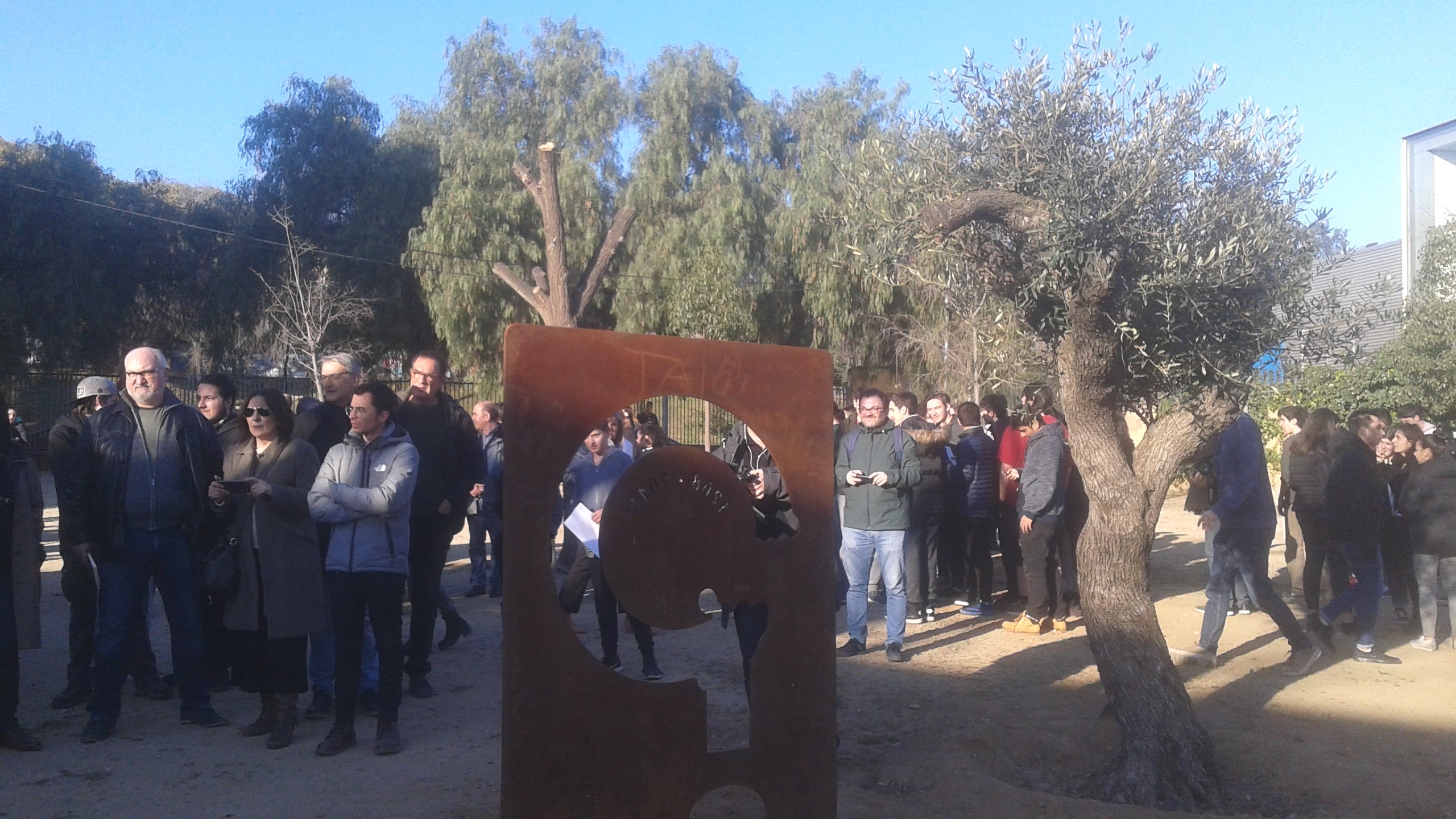 L'escultura i l'olivera